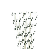 25 Pailles Papier pour Cake Pops Blanc avec Cercles Noir